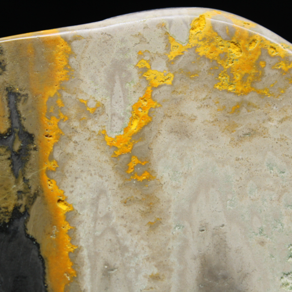 Decorazione di autenticità dell'esemplare di calabrone di diaspro