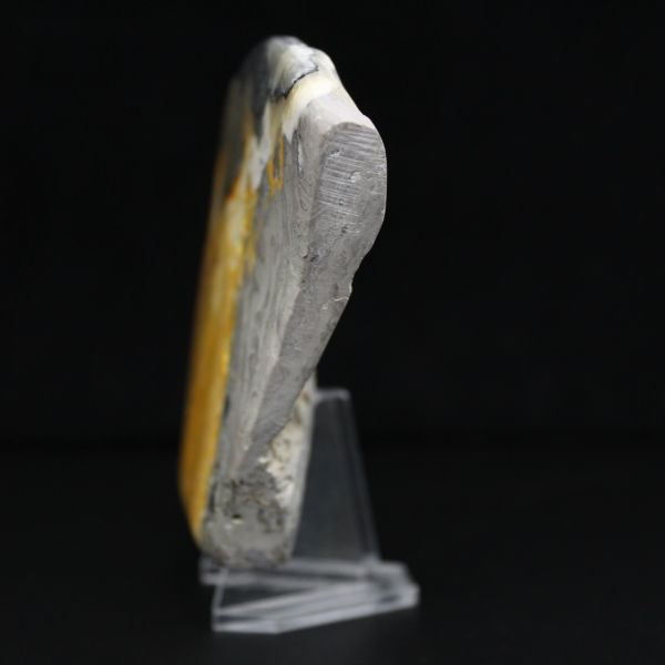 Decorazione ornamentale a forma di calabrone in Jasper autentico