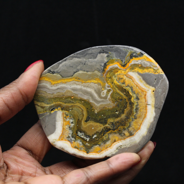 Ornamento a forma di calabrone in diaspro lucidato, Indonesia, raro