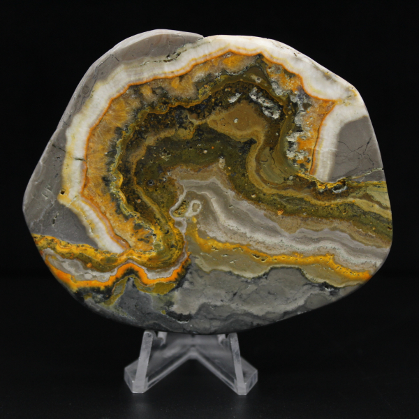 Ornamento a forma di calabrone in diaspro lucidato, Indonesia, raro