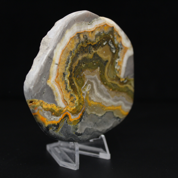 Ornamento a forma di calabrone in diaspro lucidato, Indonesia, raro