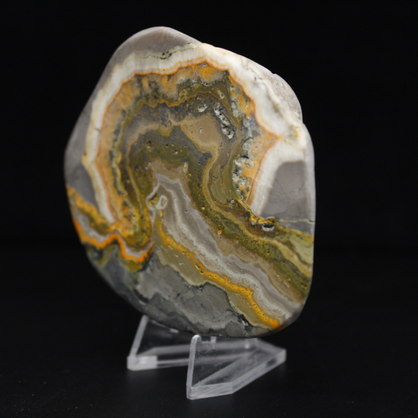 Ornamento a forma di calabrone in diaspro lucidato, Indonesia, raro