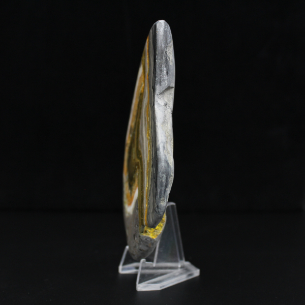 Roccia di diaspro calabrone lucidata Scienza dei minerali