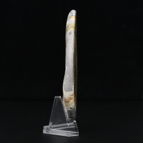 Roccia di diaspro calabrone lucidata Scienza dei minerali