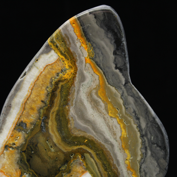 Roccia di diaspro calabrone lucidata Scienza dei minerali