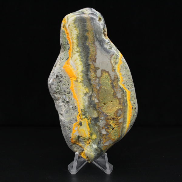 Collezione di decorazioni a forma di calabrone in pietra liscia Jasper