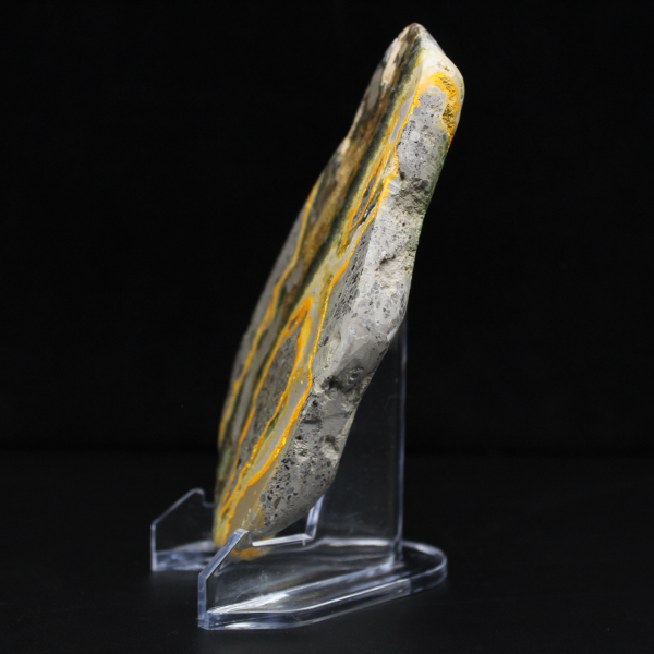 Collezione di decorazioni a forma di calabrone in pietra liscia Jasper