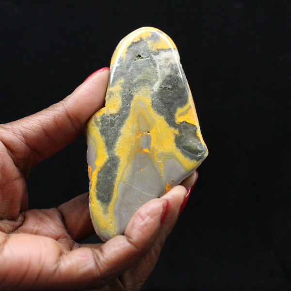 Micro moneta a forma di calabrone in diaspro lucidato