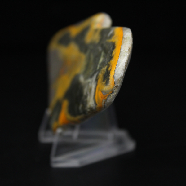 Micro moneta a forma di calabrone in diaspro lucidato