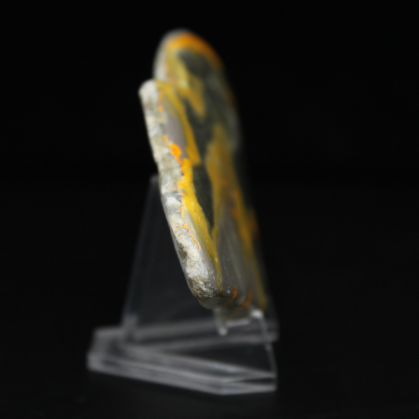 Micro moneta a forma di calabrone in diaspro lucidato