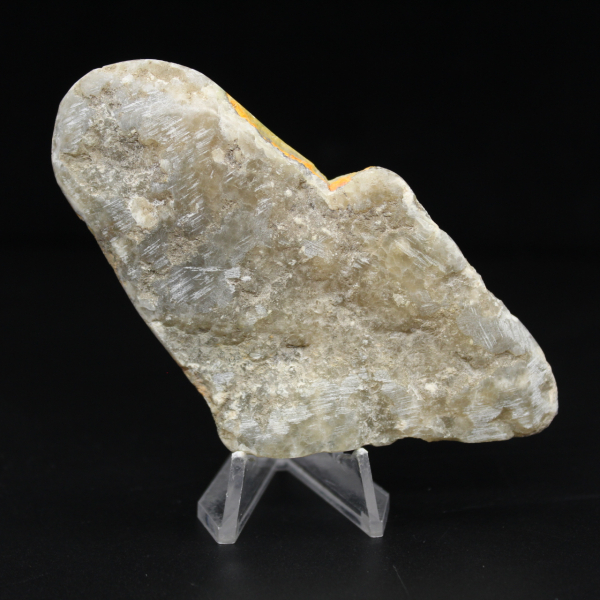 Micro moneta a forma di calabrone in diaspro lucidato