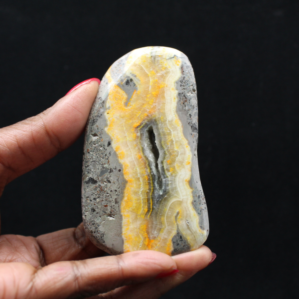 Collezione lucidata in miniatura di Jasper Bumblebee