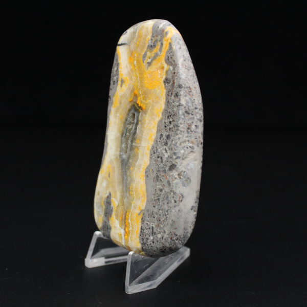 Collezione lucidata in miniatura di Jasper Bumblebee