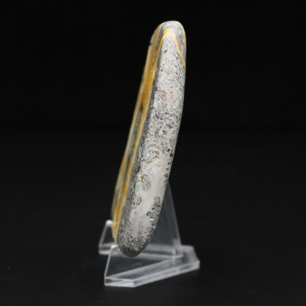 Collezione lucidata in miniatura di Jasper Bumblebee