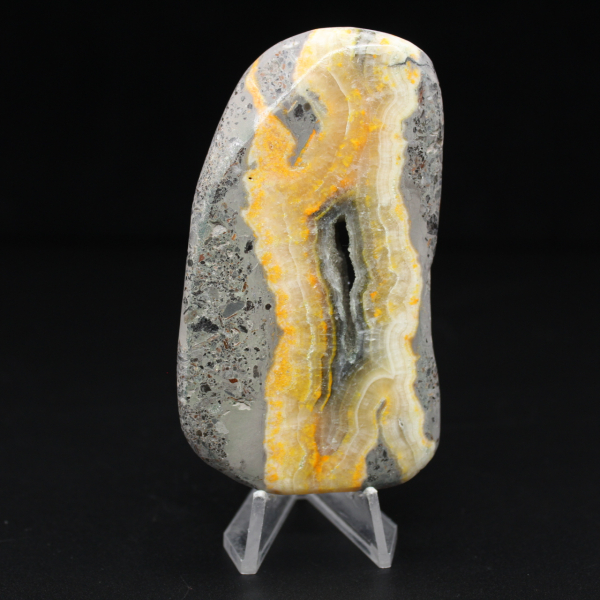 Collezione lucidata in miniatura di Jasper Bumblebee