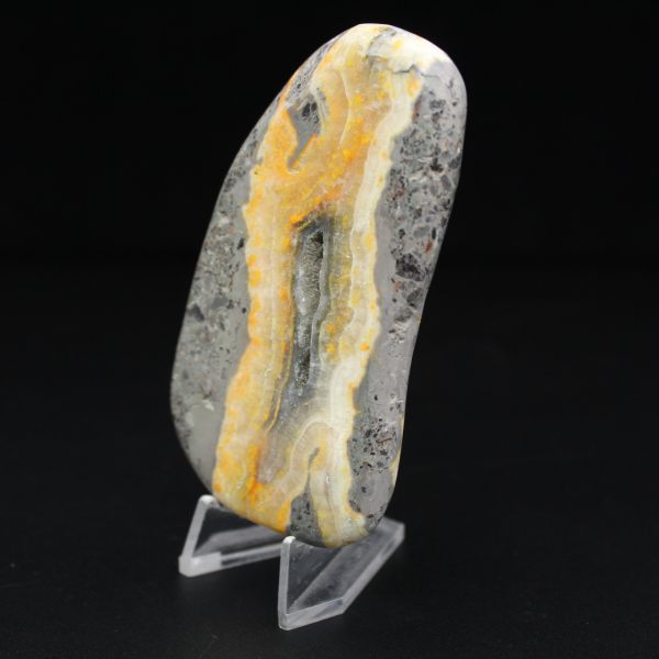 Collezione lucidata in miniatura di Jasper Bumblebee