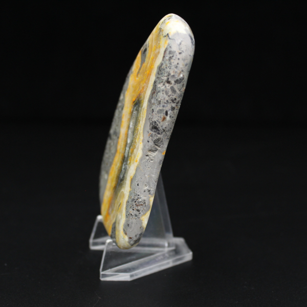 Collezione lucidata in miniatura di Jasper Bumblebee