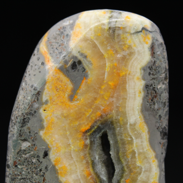 Collezione lucidata in miniatura di Jasper Bumblebee