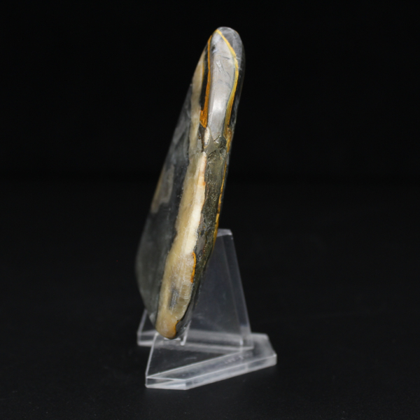 Pietra naturale Mini Jasper Bumblebee