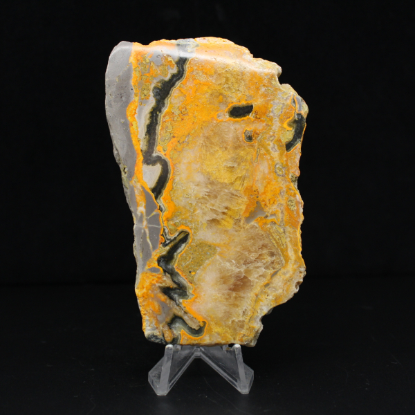 Jasper Bumblebee