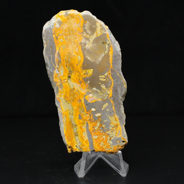 Jasper Bumblebee