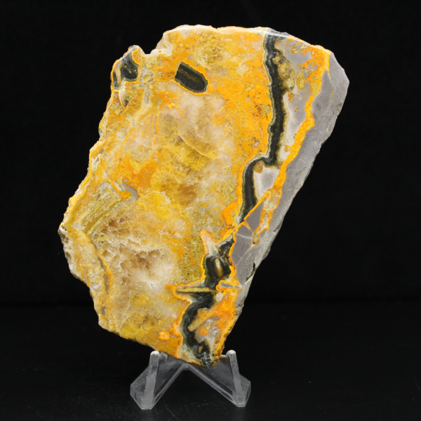 Jasper Bumblebee