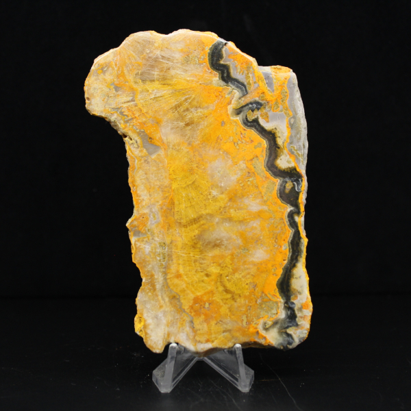 Jasper Bumblebee