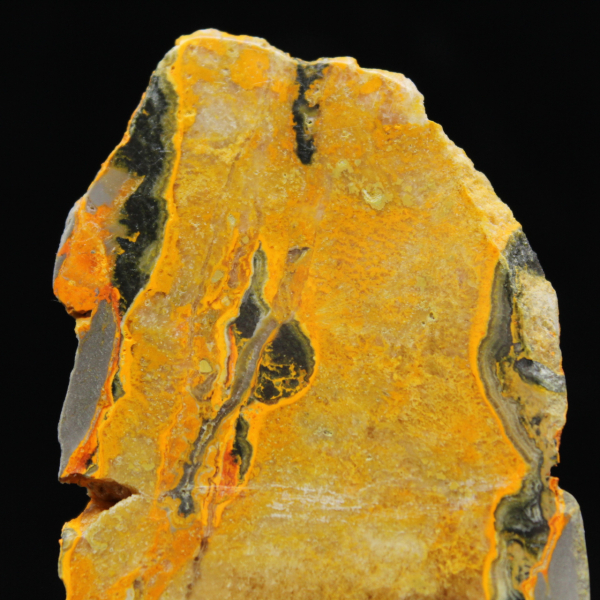 Jasper Bumblebee