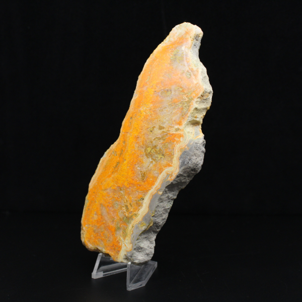 Fetta lucida di diaspro calabrone indonesiano