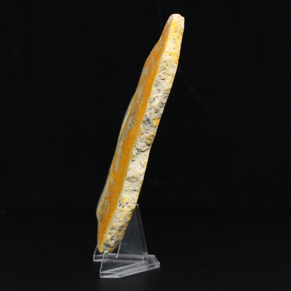 Fetta lucida di diaspro calabrone indonesiano