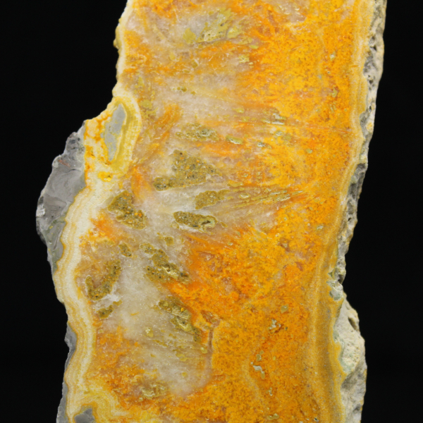 Fetta lucida di diaspro calabrone indonesiano