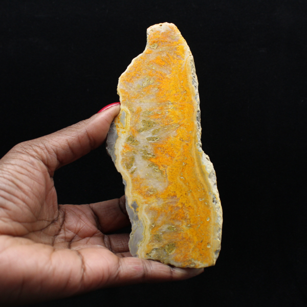 Fetta lucida di diaspro calabrone indonesiano