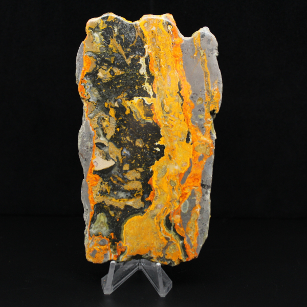 Jasper calabrone indonesiano: grande lastra lucidata