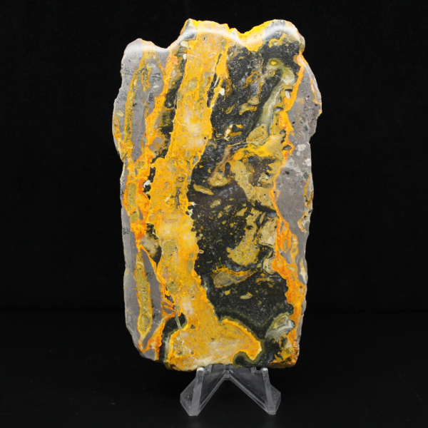 Jasper calabrone indonesiano: grande lastra lucidata