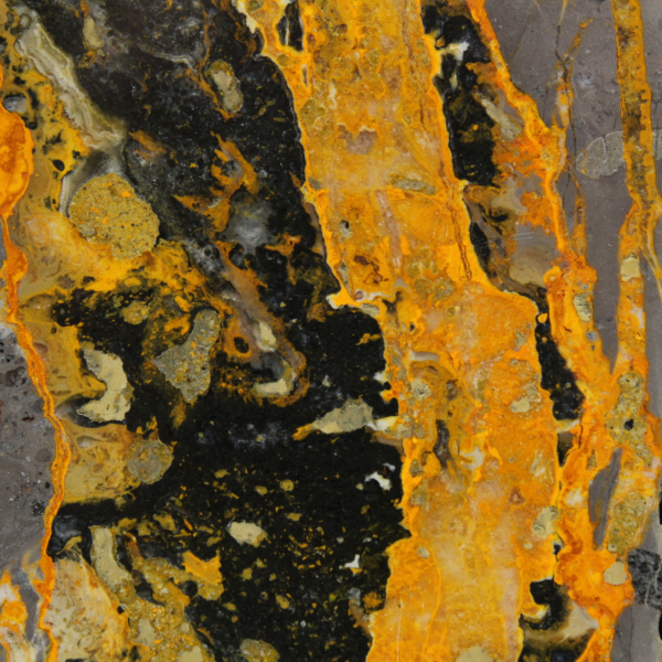 Bumblebee Jasper: placca lucidata di alta qualità