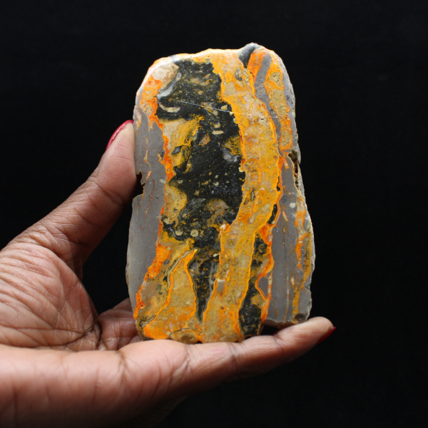 Bumblebee Jasper: placca lucidata di alta qualità