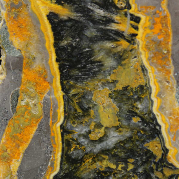 Fetta di diaspro ape - Rilievo sedimentario