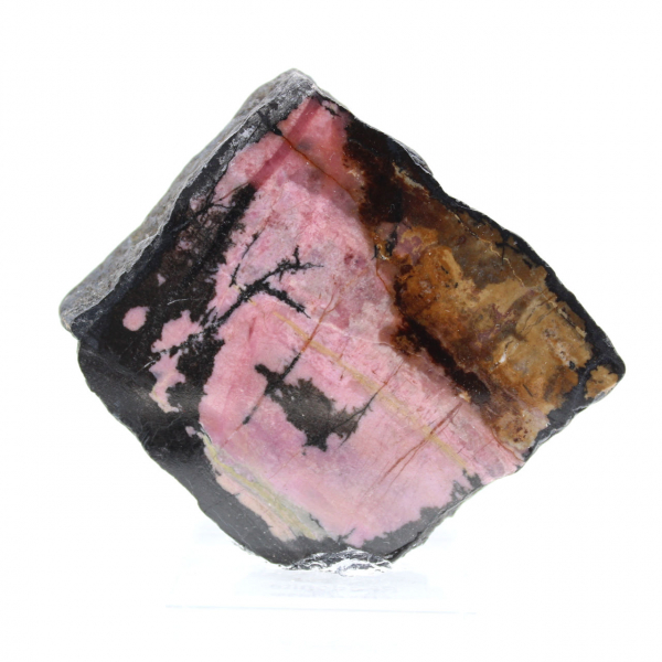 Fetta di Rodonite naturale per collezione di minerali