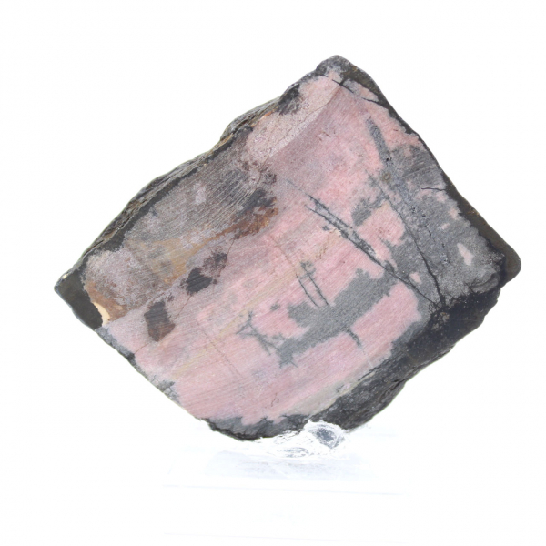 Fetta di Rodonite naturale per collezione di minerali