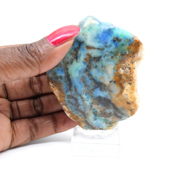 Fetta di pietra di Azurite Malachite per collezione e creazione