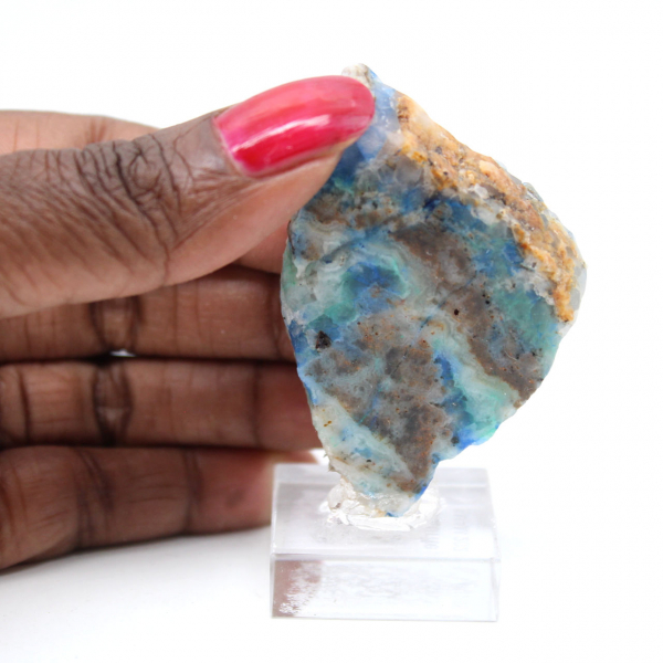 Fetta lucidata di Azurite Malachite minerale grezzo di qualità