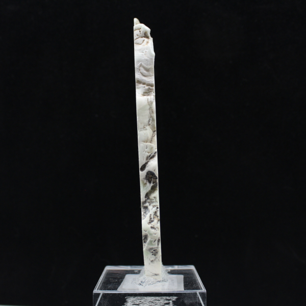 Fetta naturale di Aragonite verde per decorazione