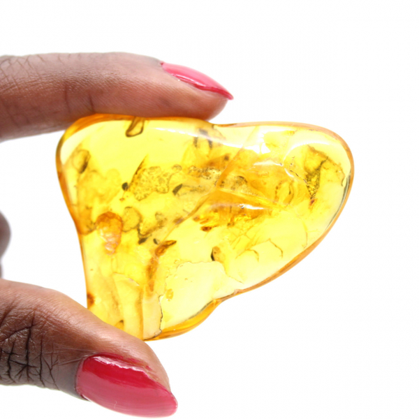 Grande ciottolo di ambra gialla dalla Lituania – Fossile da collezione