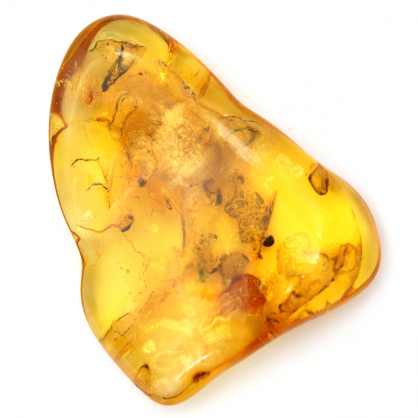 Grande ciottolo di ambra gialla dalla Lituania – Fossile da collezione