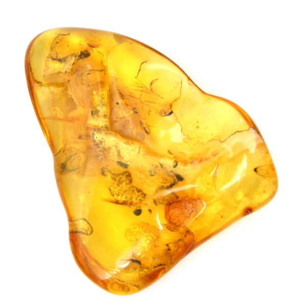 Grande ciottolo di ambra gialla dalla Lituania – Fossile da collezione
