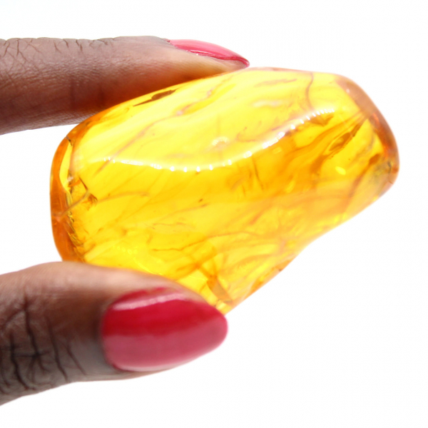 Ciottolo di ambra gialla lucidata – Pietra fossile per decorazione