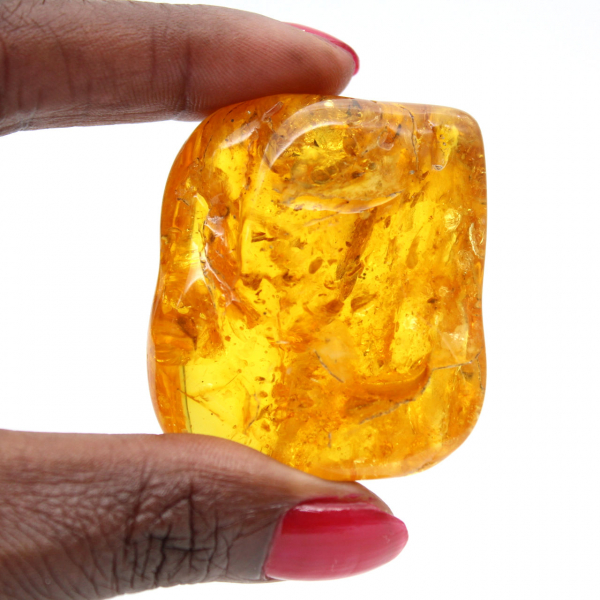 Ambra gialla autentica dalla Lituania – Articolo in ciottoli naturali
