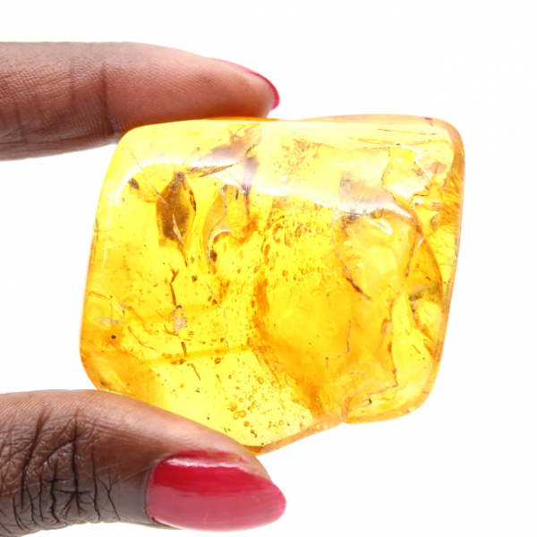 Pietra d'ambra baltica gialla - Ciottolo da collezione