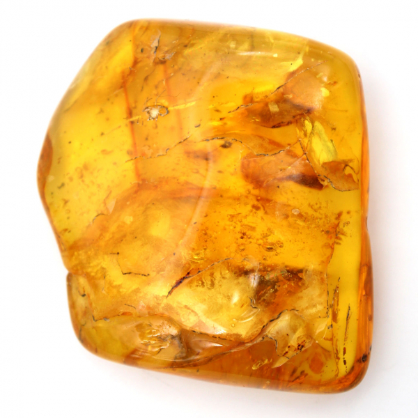 Pietra d'ambra baltica gialla - Ciottolo da collezione