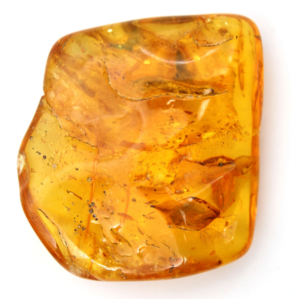 Pietra d'ambra baltica gialla - Ciottolo da collezione